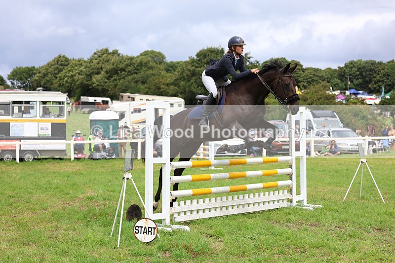 3E7A7358 - Class 5: Senior British Novice/90cm open