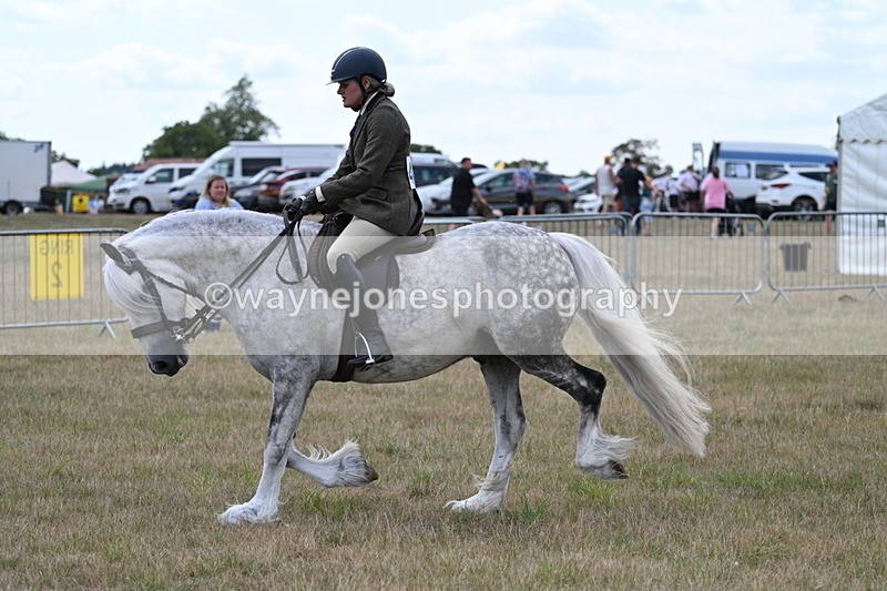WJ7_5281 - Class 12 Ridden Cob