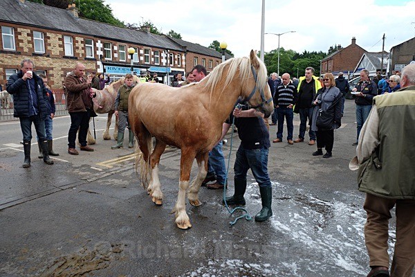  - Appleby Horse Fair