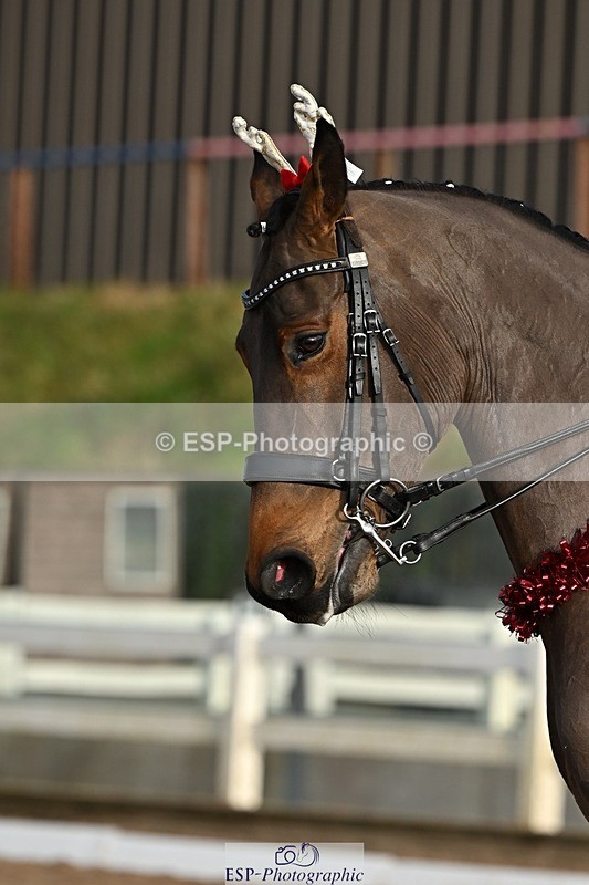 241214-131405-02352 - 106-Tyler.Bradshaw-Mexx