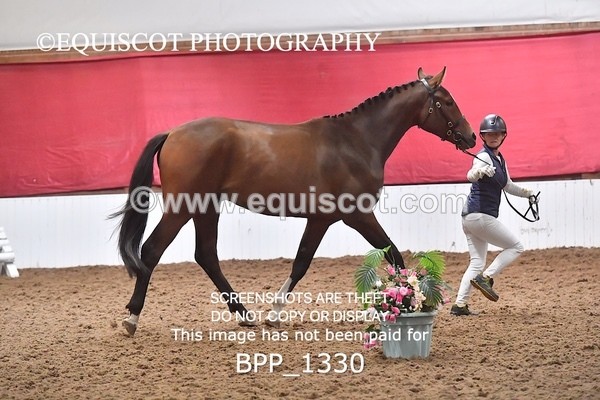 BPP_1330 - MORNING 9AM - 12PM