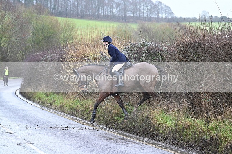 WJ7_7061 - Crossing A Camera