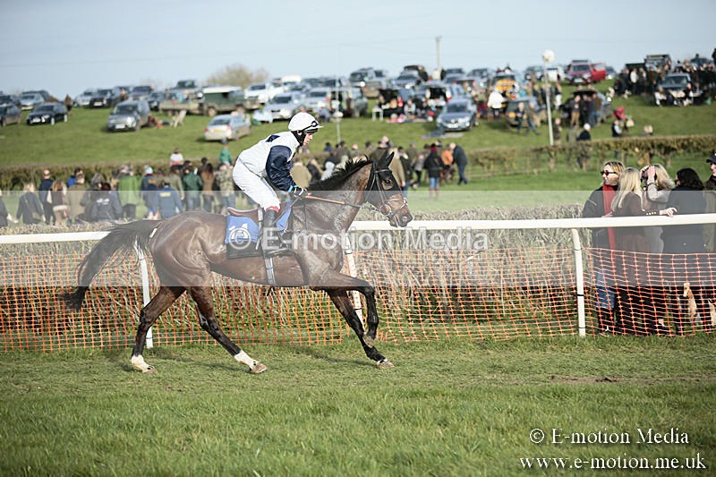 PtP 230319 507 - VWH Hunt Siddington Point-to-Point Racing 23/03/19