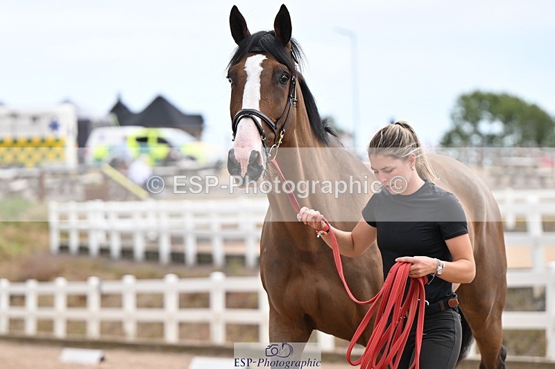 250716-145336-01485 - Trot Up 2.30 to 3.30