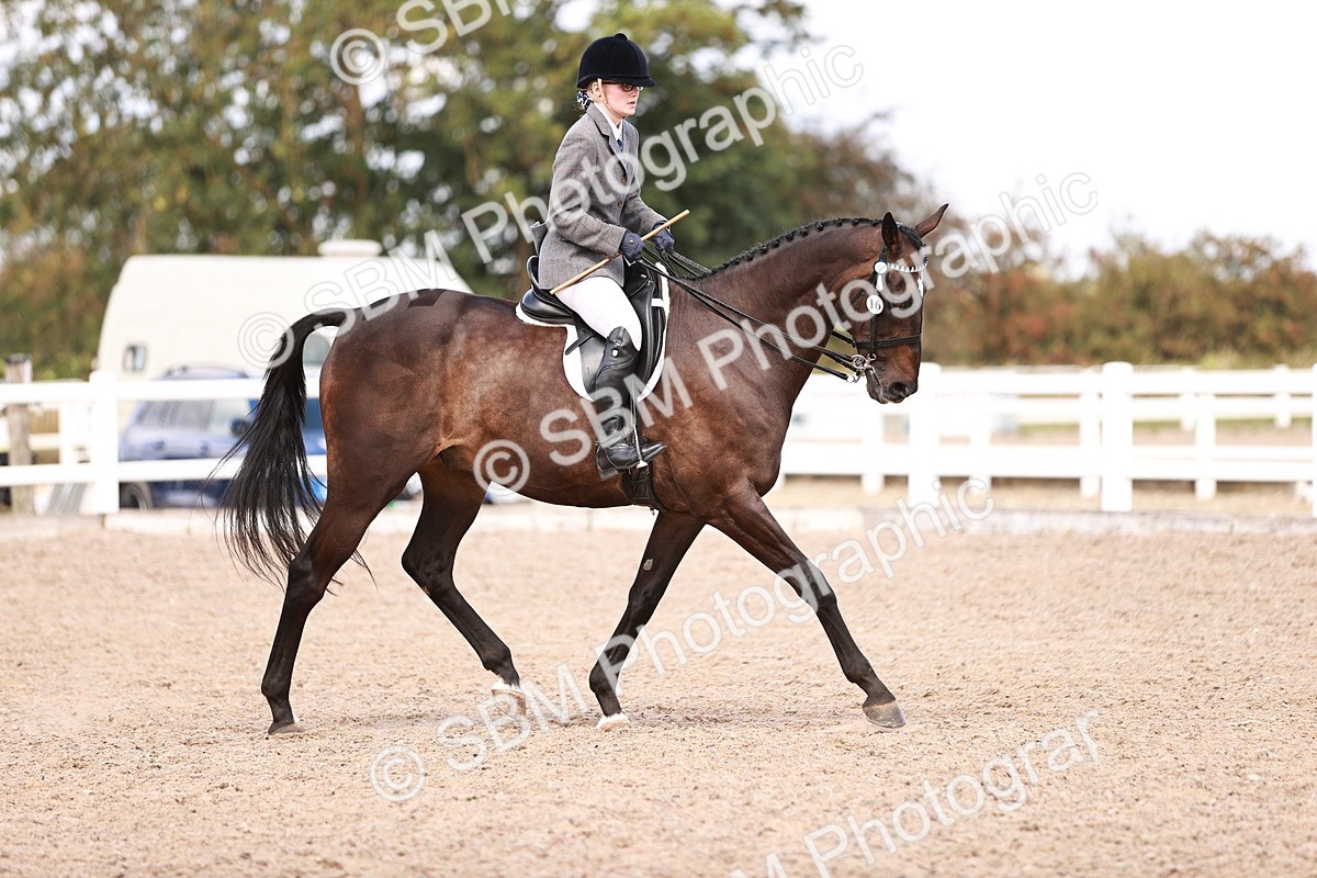 SBM_14459 - Class 410 - Grassroots Ridden - Horse