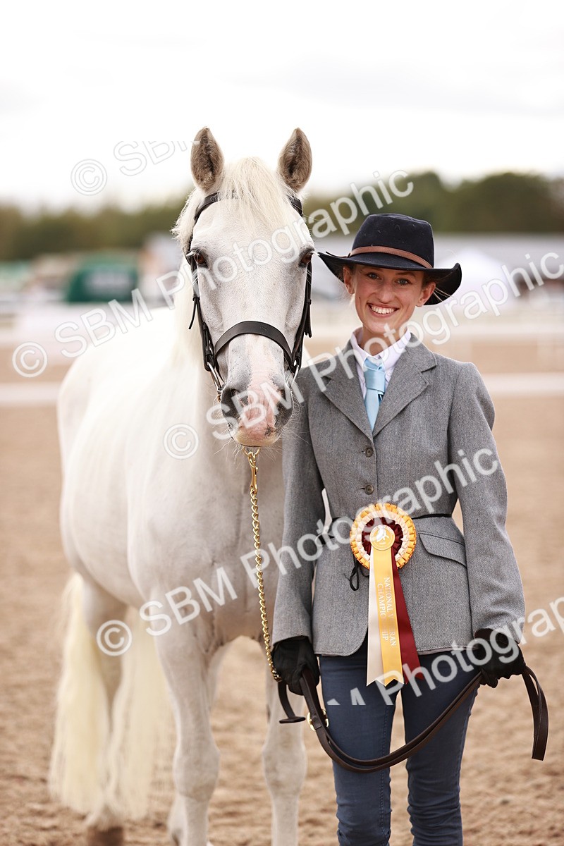 SBM_16249_Class 412 - Handsome Gelding IH or Redden Adult - Lily