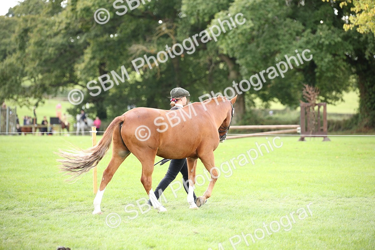 SBM_44359 - S24 - Young Veteran in hand