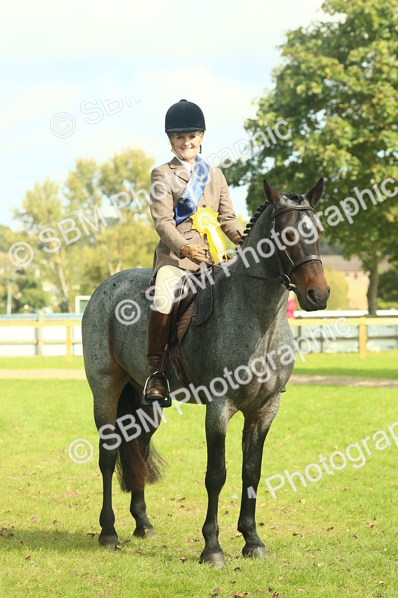 SBM_62695 - S63 - Other Coloured Horse Ridden