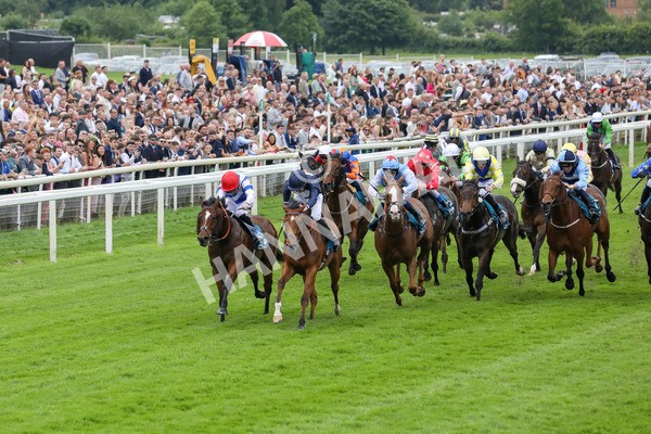 250524-Race 1-Tiriac-2956 - Race 1 1.35pm William Hill Keep Your Raceday Positive Handicap