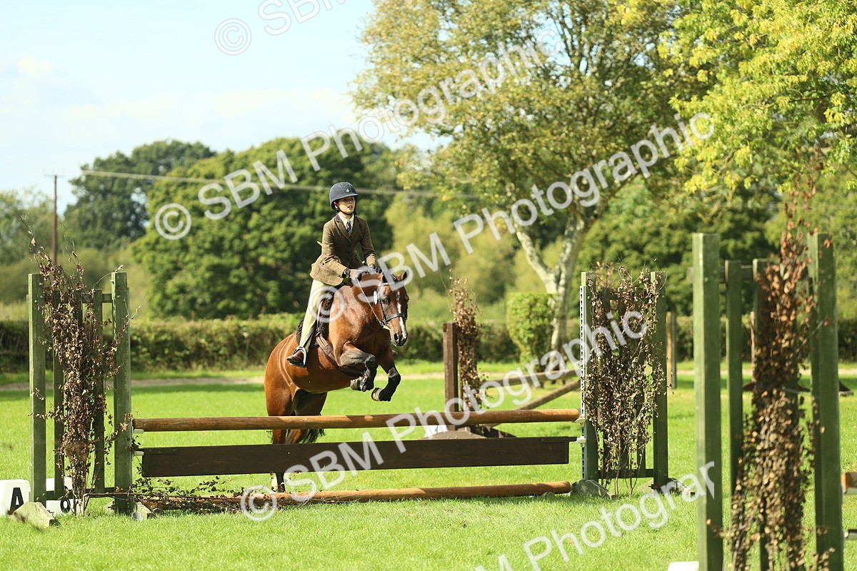 SBM_44595 - S31 - Working Hunter Pony