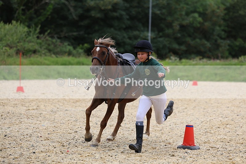 3E7A9611 - Walk trot run