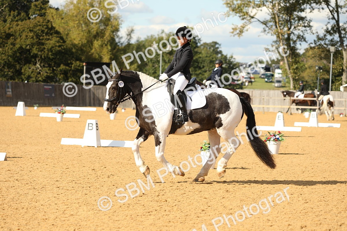 SBM_26718 - D17 - Grand Tour Championship - Novice 27