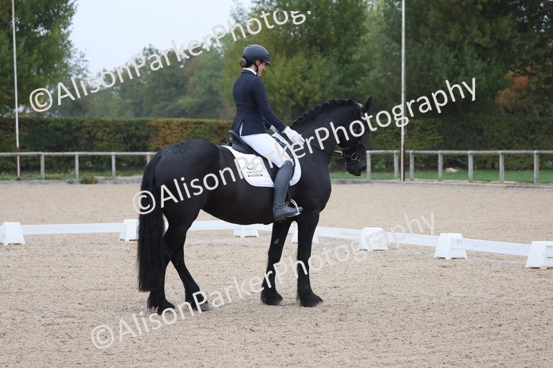 20251012-0286 - Class 2 - Prelim 6