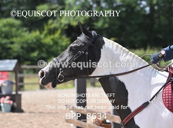 BPP_8634 - 60CM