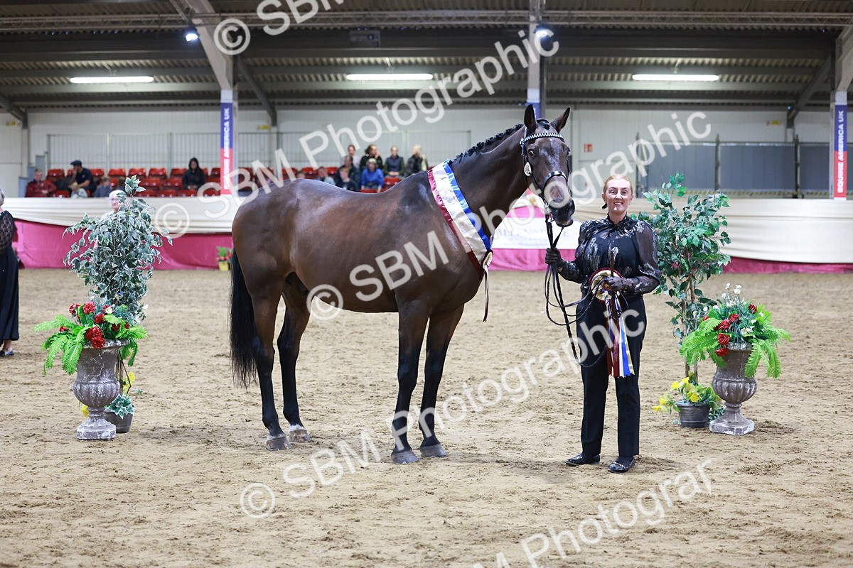 SBM_20646 - Class I - Ridden Pony Champ