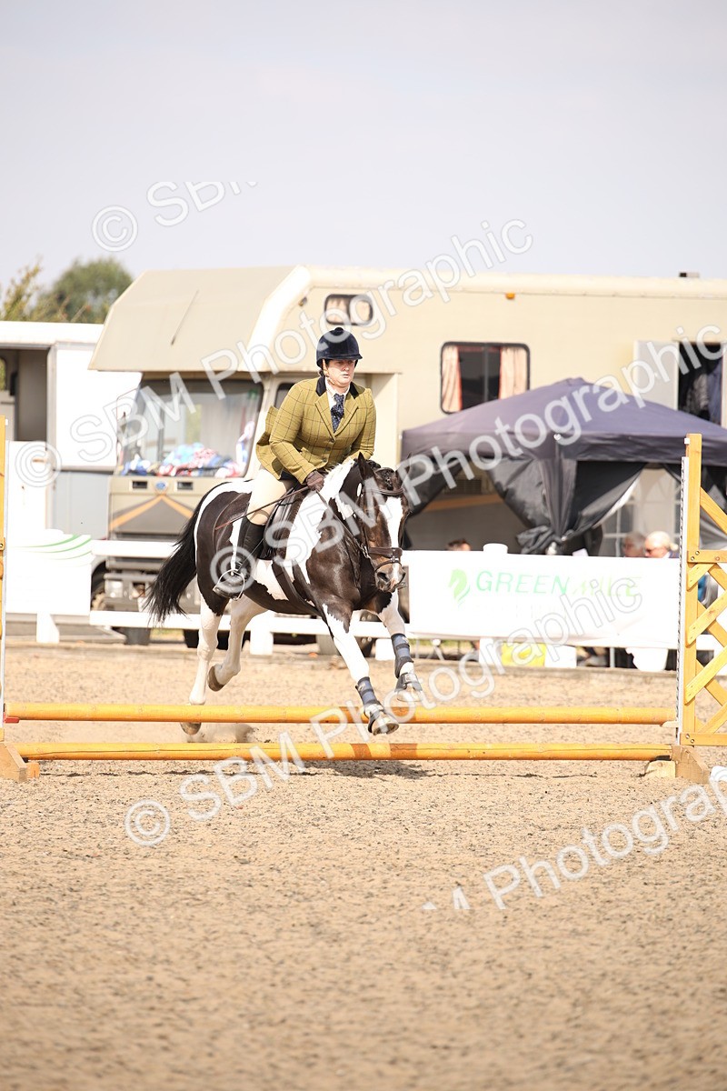 SBM_13606 - Class 406b - Working Veteran 50cm (20+)