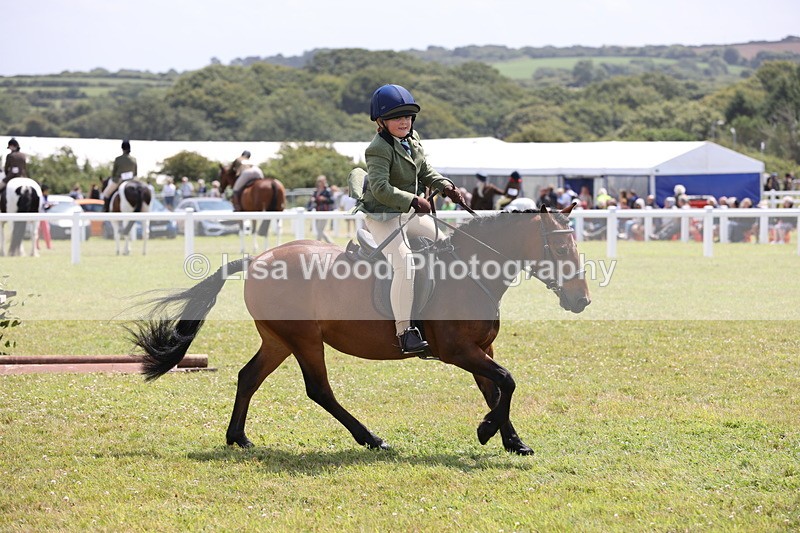 JPP_1822 - Class 18: Tiny Tots Working Hunter Pony