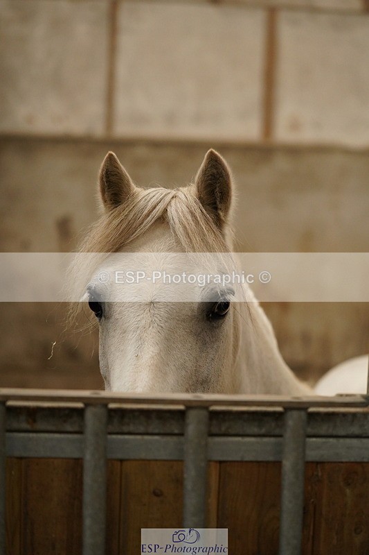 240809A-134414-00993 - Stable Shots