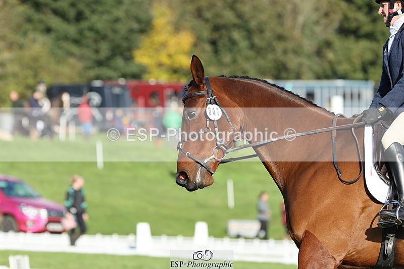 251024A-104214-07843 - D-347-Elizabeth.Payne