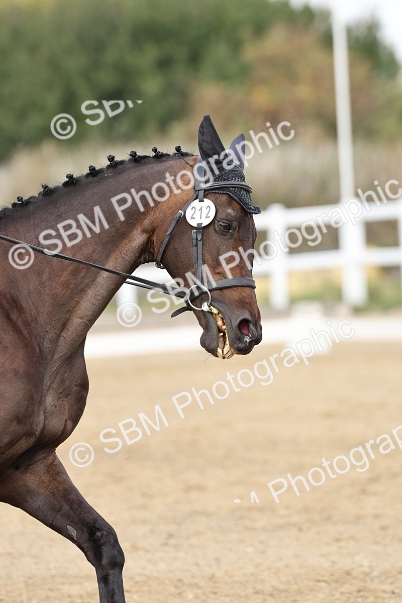 SBM_018185 - Class 16 - Novice 5 - 11.12-12.01