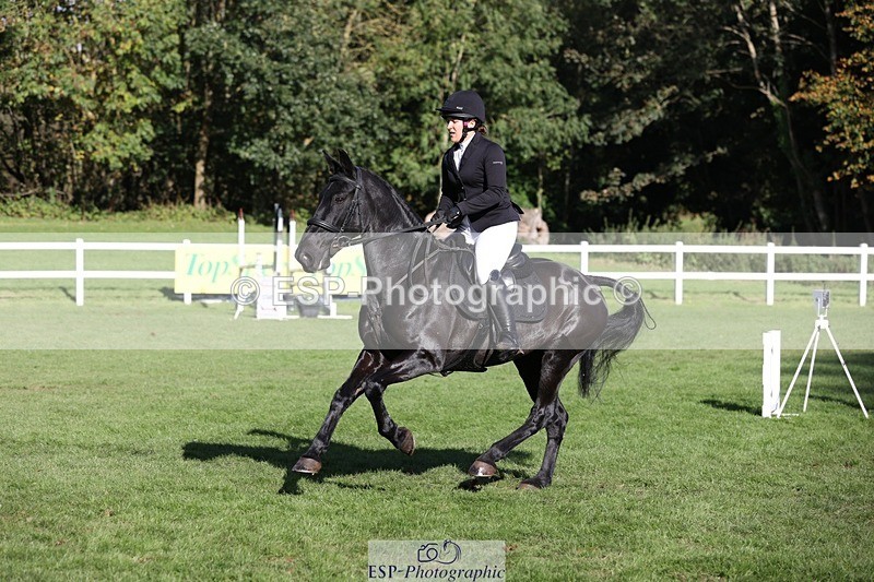 231022-143409-28213 - 505-MR.DARCY-Eleanor.Newcombe-TrotUp+SJ