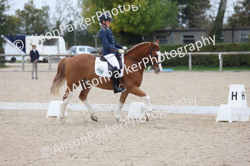 20251011-0410 - Class 4 - Novice 2