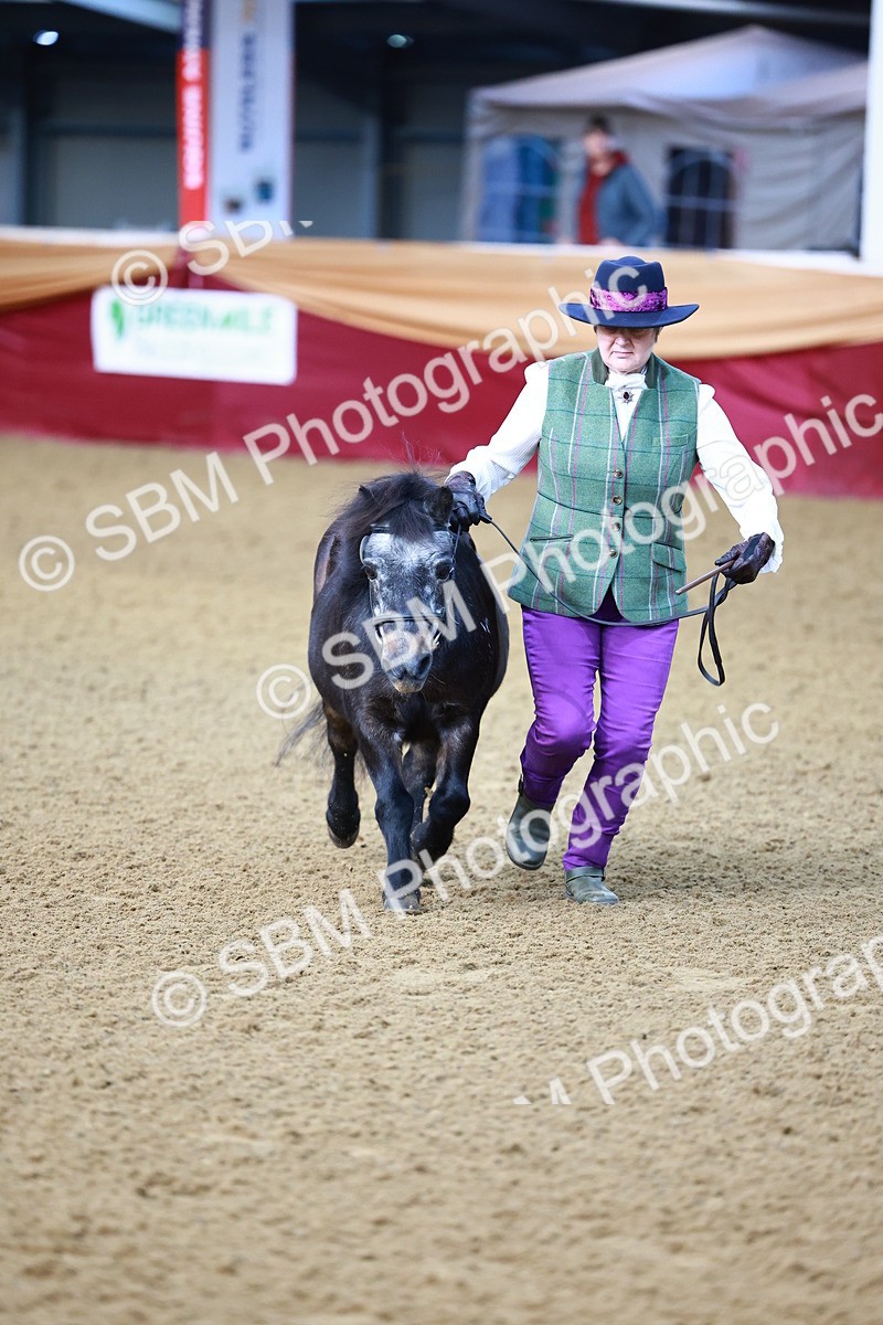 SBM_21674 - Class 901 - Supreme Final - IH  Diamond