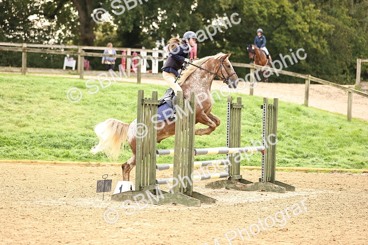 SBM_58403 - J41 - Grand Tour Horse & Pony 95cm