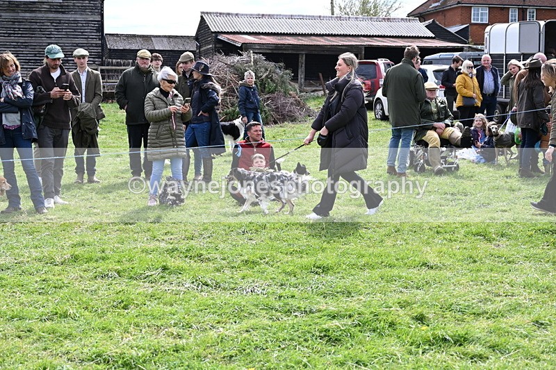 WJ6_8267 - Class 4 Prettiest Bitch