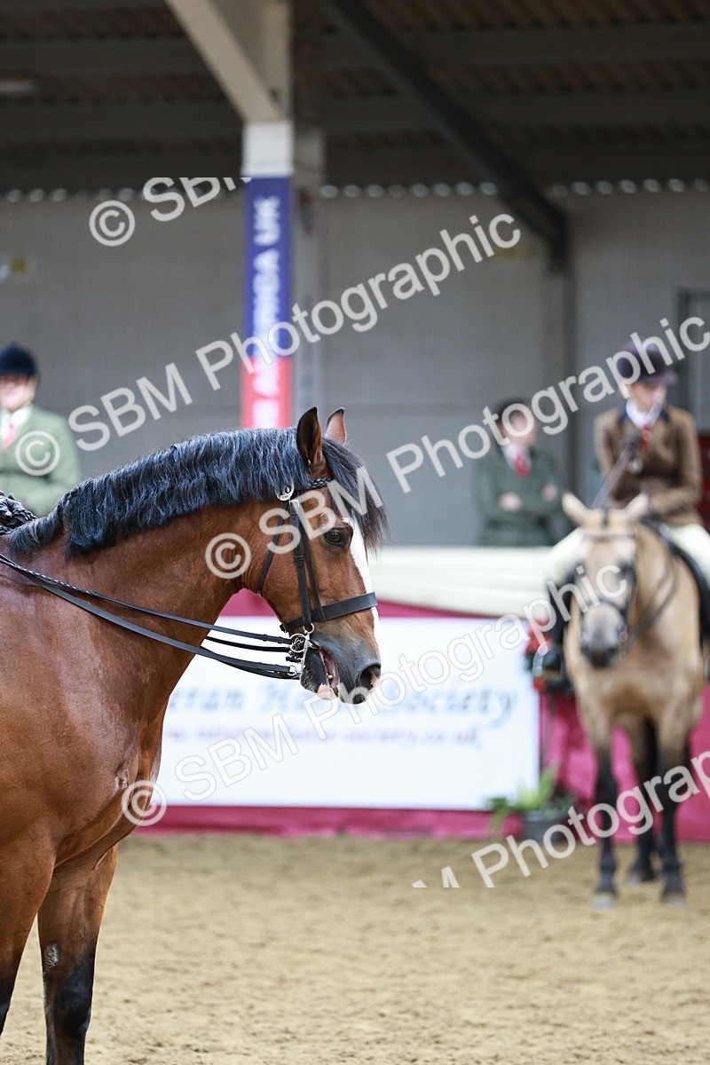 SBM_03605 - Class 6A Area Ridden Pre-Vet