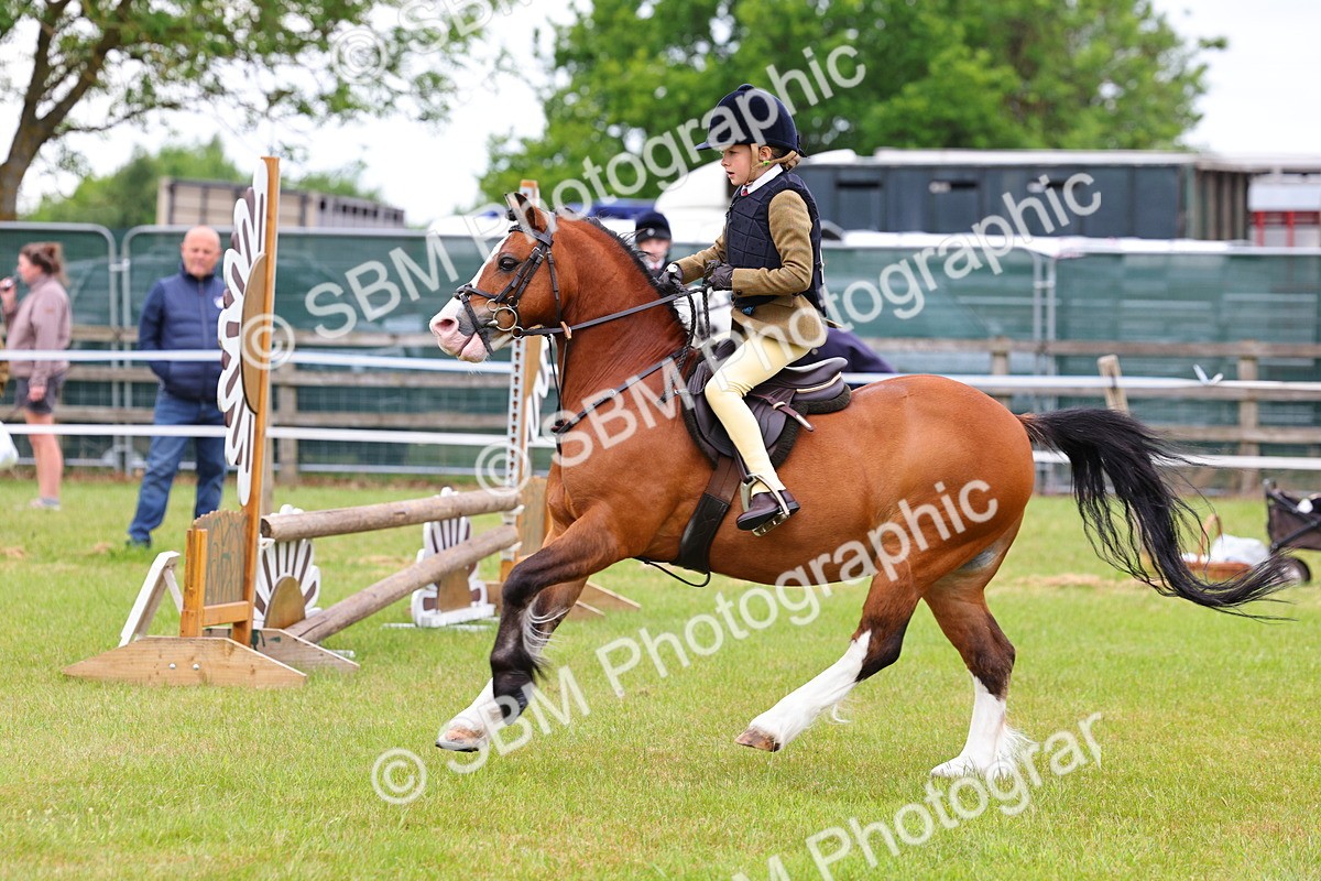 SBM_09476 - Class 44-45 - LIHS BSPS Open Nursery and Cradle Stakes