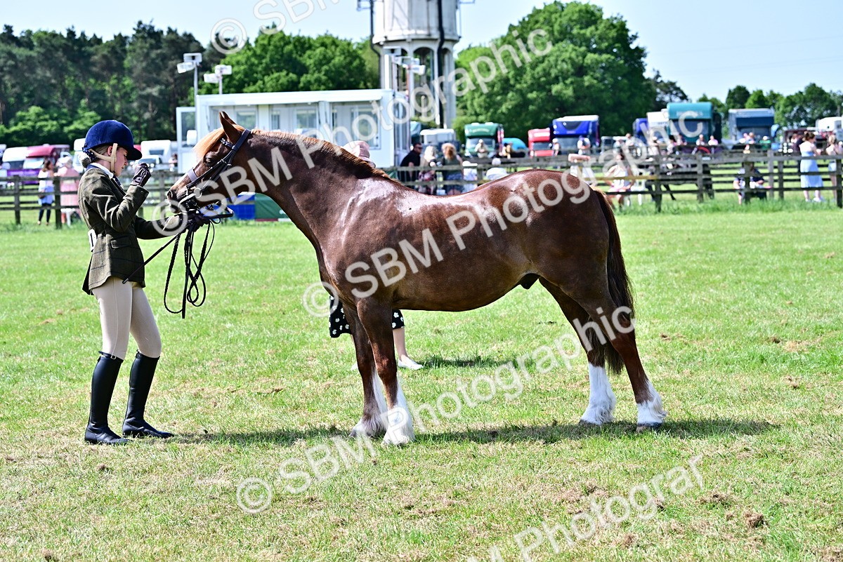 SBM_03873 - Class 58 - TSR  Ridden Veteran Amateur of the year