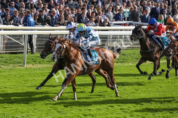 141023-Race 2-Whiskey Pete-0354 - Race 2 1.50pm Play Coral 'Racing-Super-Series' For Free Nursery Handicap