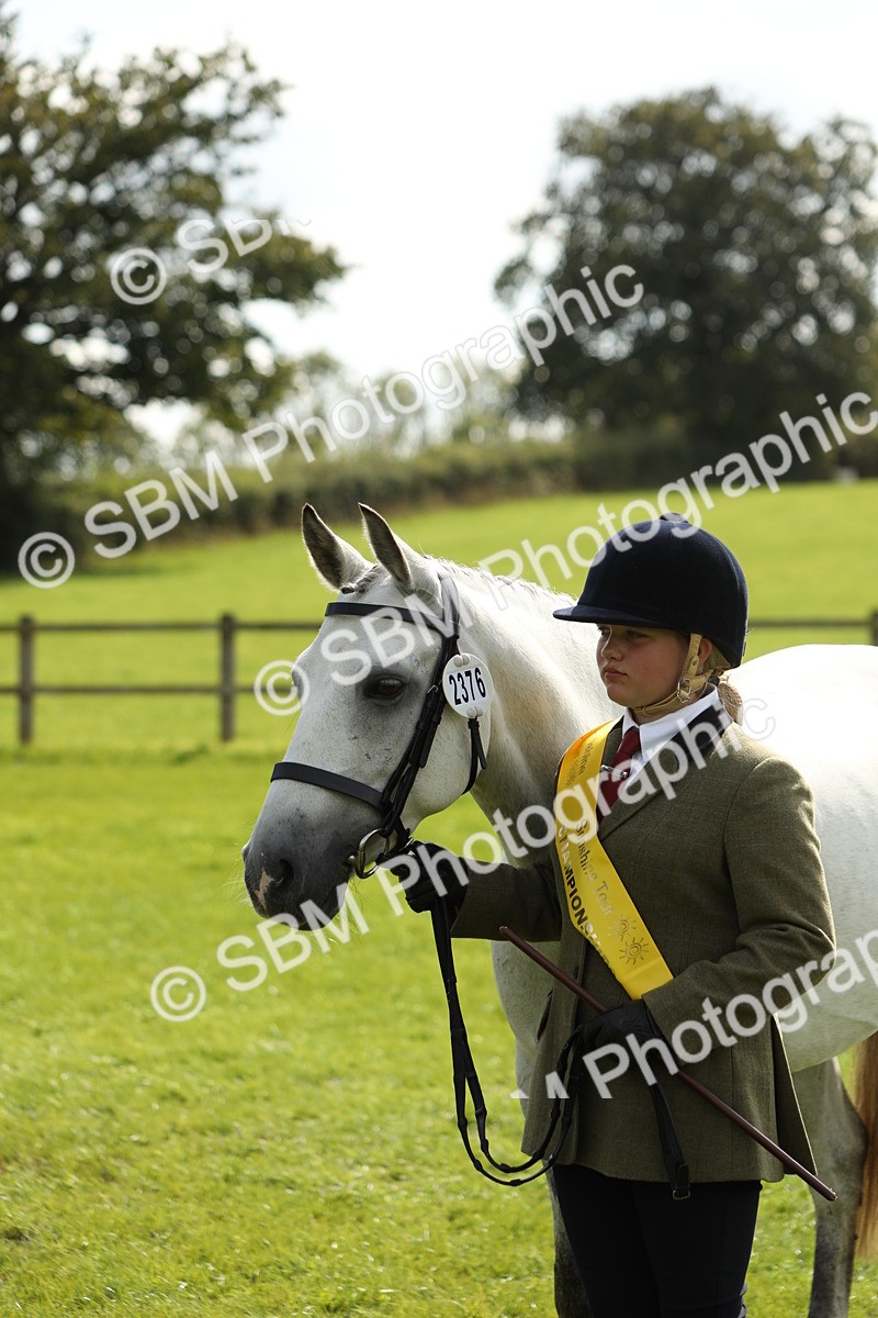SBM_66338 - In Hand Pony & Youngstock Supreme Championship