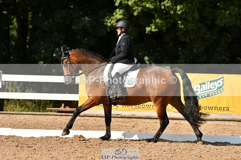 250817-161020-11500 - 049-Carolyn.GaleNewtown.Ringo