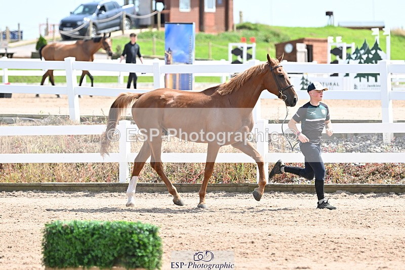 240717A-145858-02396 - Trot Up 2pm to 3pm - This folder is not in time order