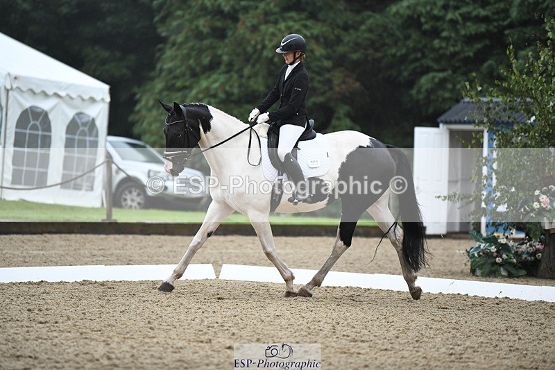 240720-113447-04338 - 123-Michelle_Wallis-Alvescot_Winning_Mood