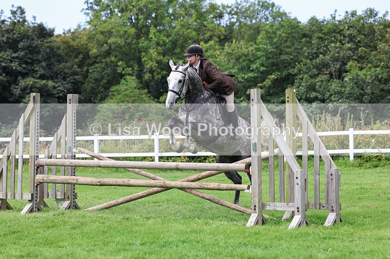 3E7A8853 - Class 6: Open Working Horse