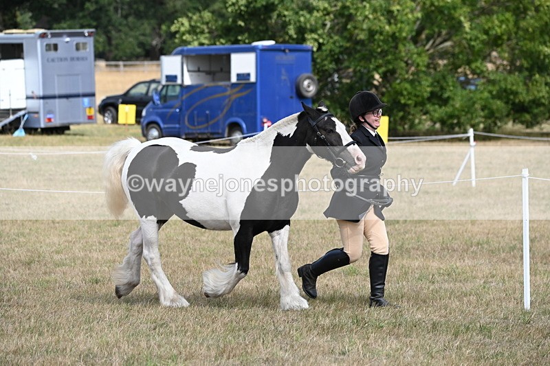 WJ6_6480 - Class 20 In-hand Cob