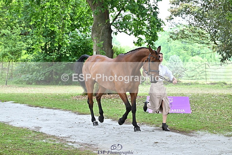 250521A-142822-00017 - A-001-Jemima.Howden-HEADS.UP