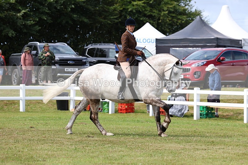 3E7A0182 - Class 6: Rising Star Maxi Cobs