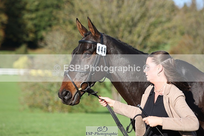 241027-095130-15542 - 444-Tatiana.Wharton-NO.TOMMY.NO