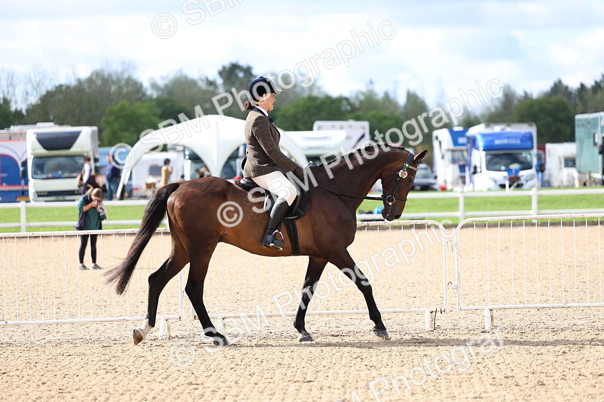 SBM_10747 - Class 305 - Ridden Foreign Breeds - Pure Bred