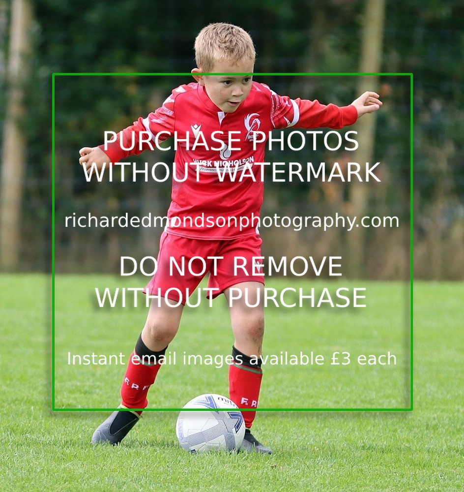IMG_5237 - Wattsfield Under 8 vs Ibis Under 8 (12/10/24)