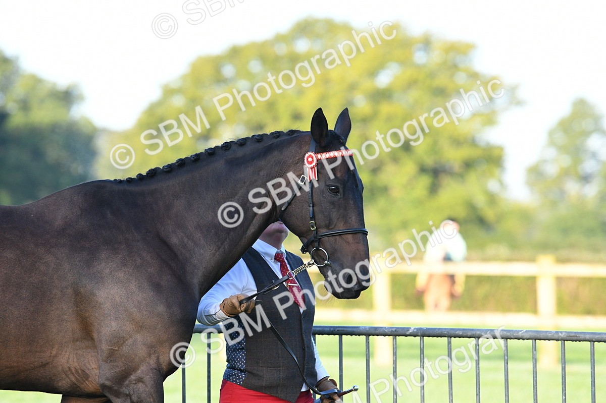 SBM_32468 - S15 - Condition & Turnout In Hand