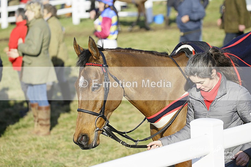 PtP 270222 255 - South & West Wilts Point-to-Point Larkhill 27/02/22