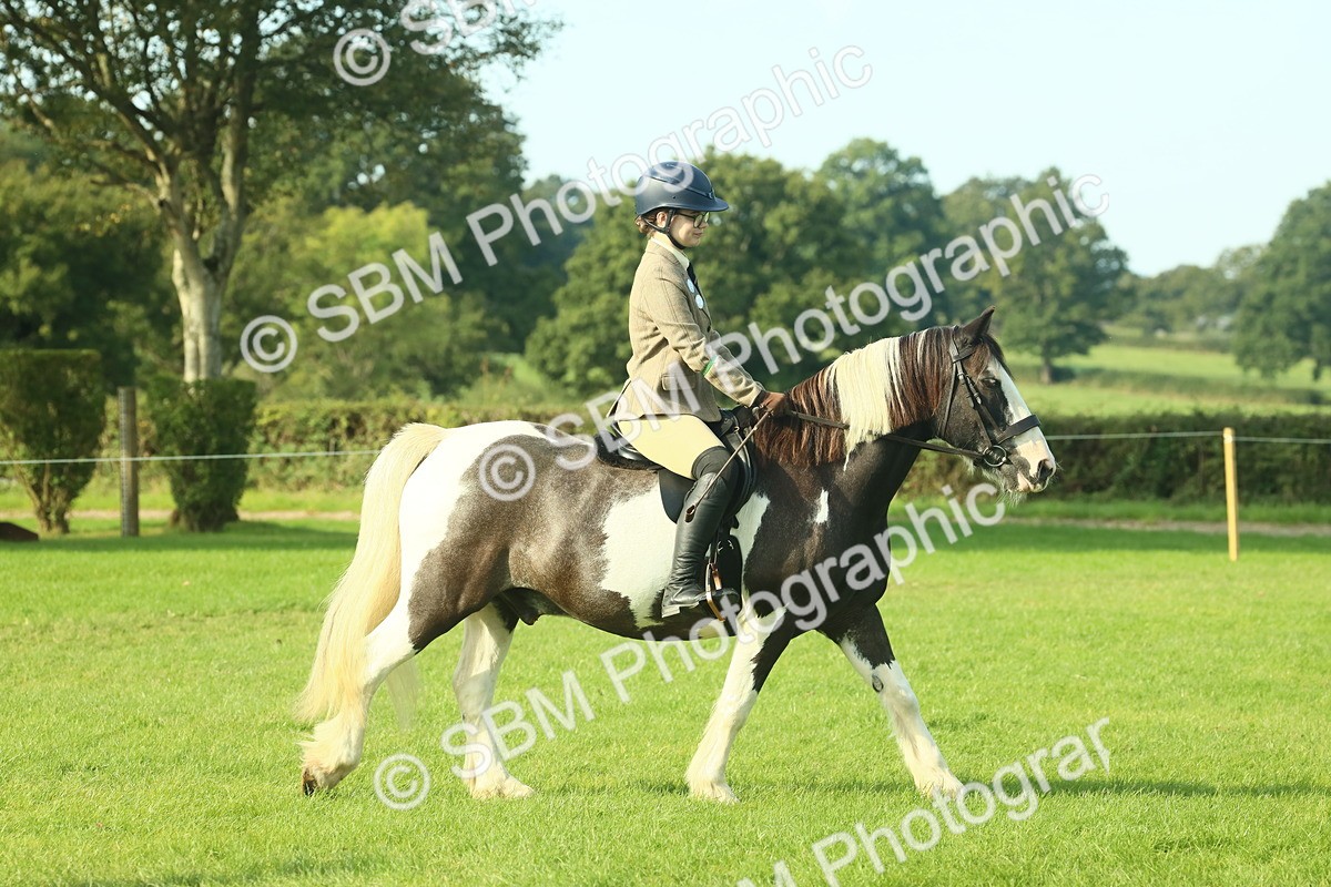 SBM_59316 - S38 - Starters Ridden Showing