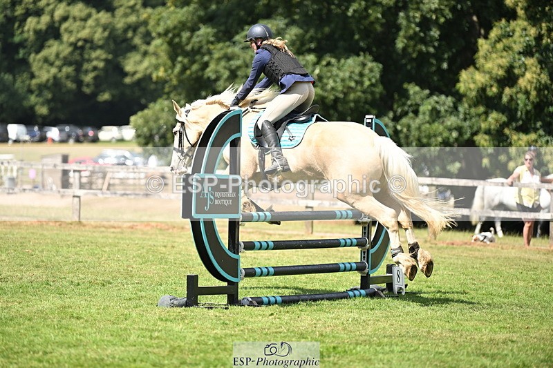 250704A-105727-07113 - Cls 25 Snr British Novice and 90cm
