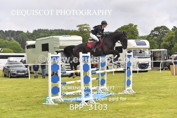 BPP_3103 - CLASS 2 SENIOR FOX/1.20M OPEN