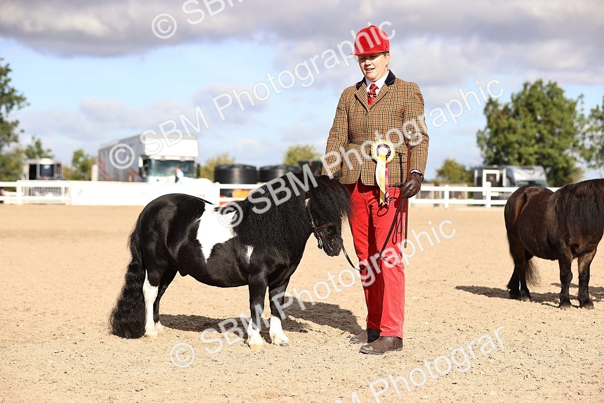 SBM_08543 - Class 402 - IH Veteran Pony